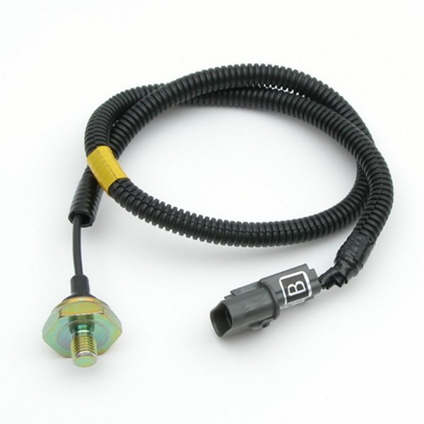 Delphi Original Equipment Knock Sensor/Detonation Sensor