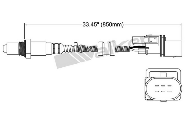 Exhaust System